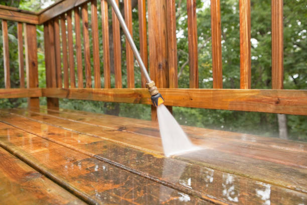 Best Sidewalk Pressure Washing  in Meridian, MS